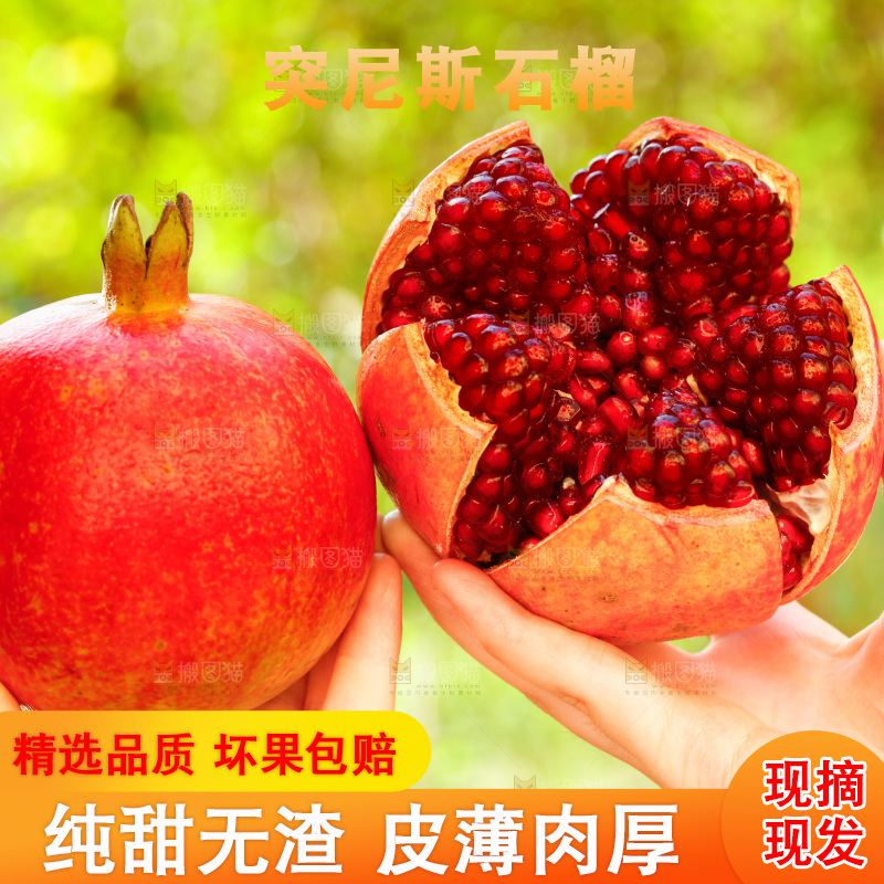 手上拿着突尼斯软籽石榴