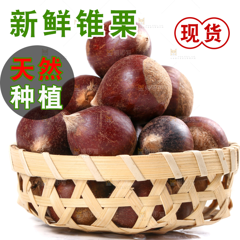 篮子里的生锥栗