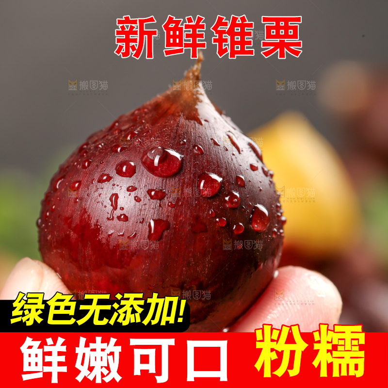 手里拿着锥栗