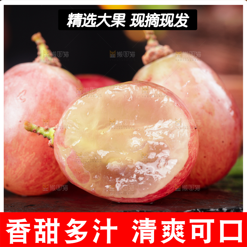黑底上的新疆红提