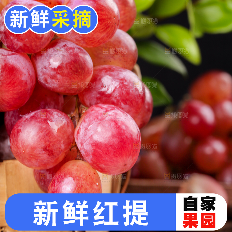 篮子里的玫瑰红提葡萄