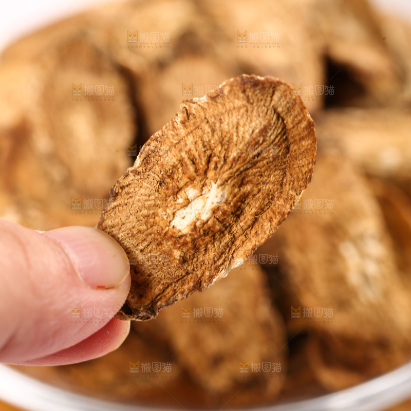 手里拿着牛蒡根