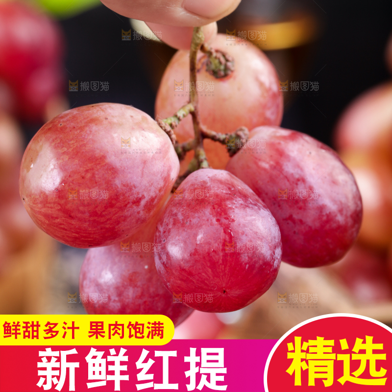 手里的红提葡萄
