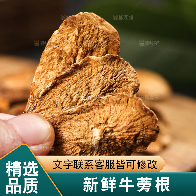 手里拿着牛蒡根