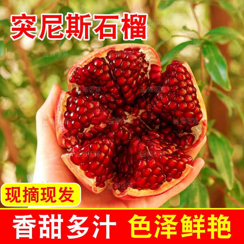 手上拿着突尼斯软籽石榴