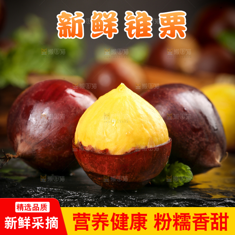 黑底上的锥栗