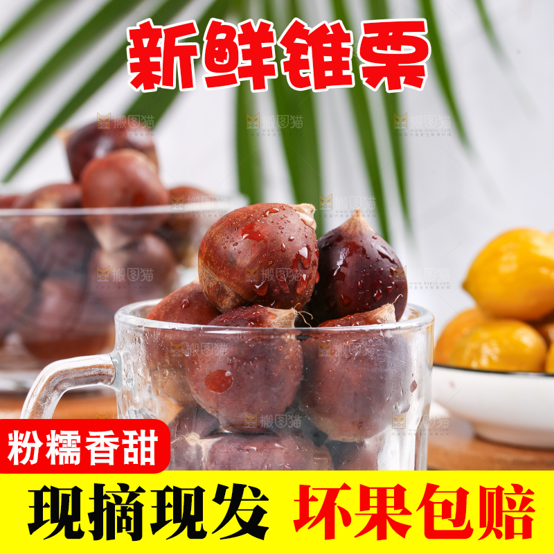 杯子里装着锥栗