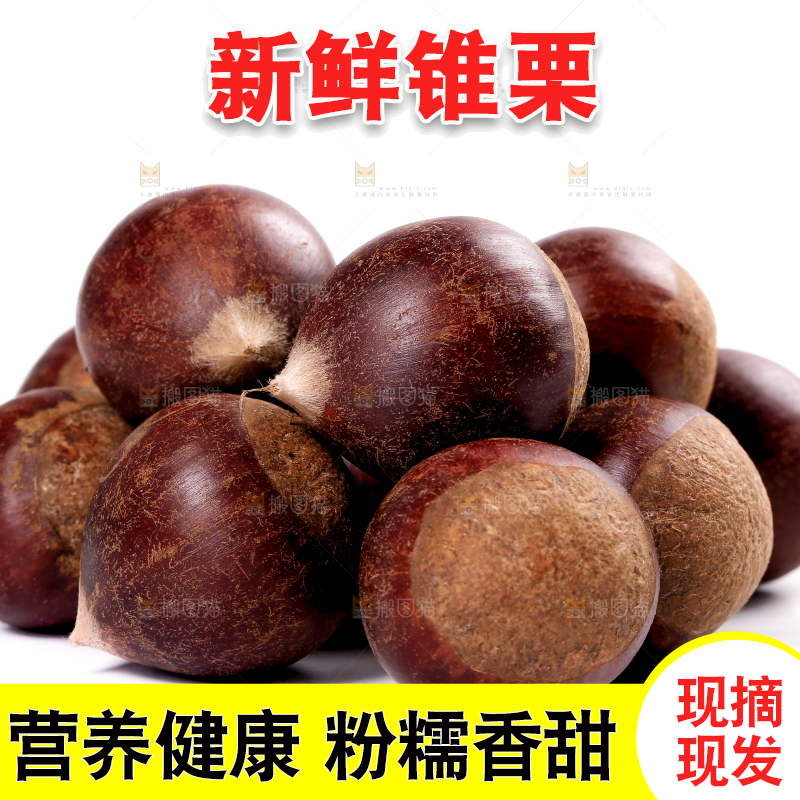 一堆建瓯锥栗