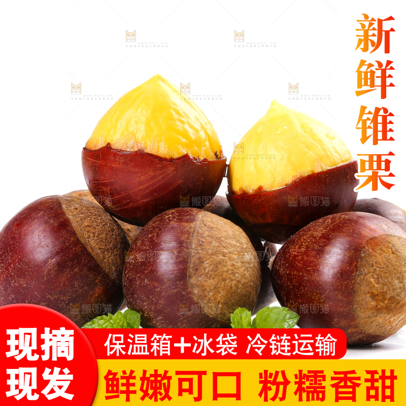 一堆建瓯锥栗