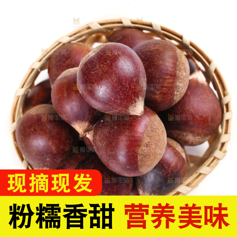 篮子里的生锥栗