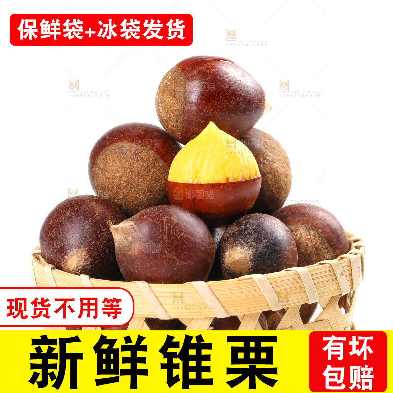 篮子里的生锥栗