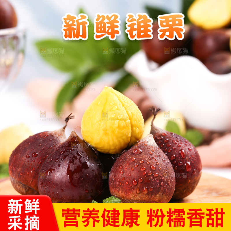 木板上的建瓯锥栗