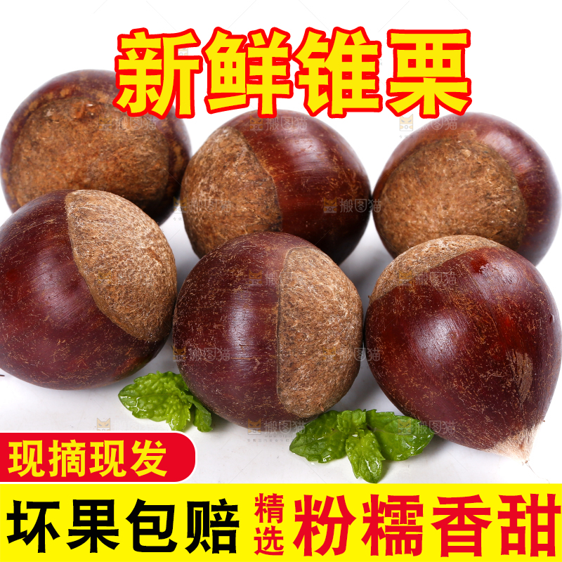 一堆建瓯锥栗