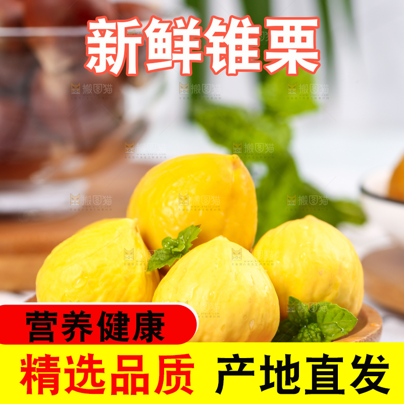 一盘锥栗仁