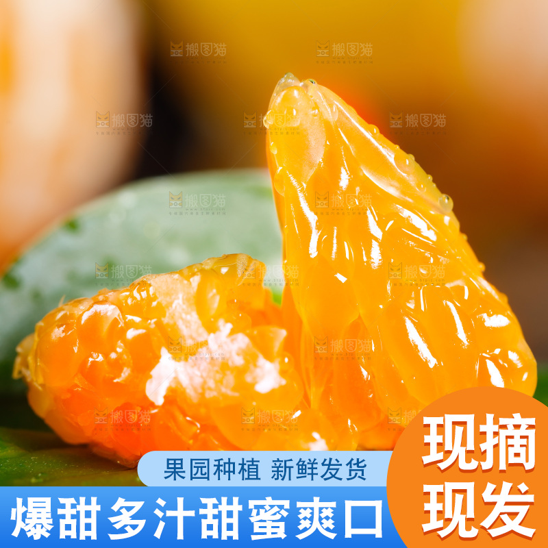 叶子上的橘子果肉