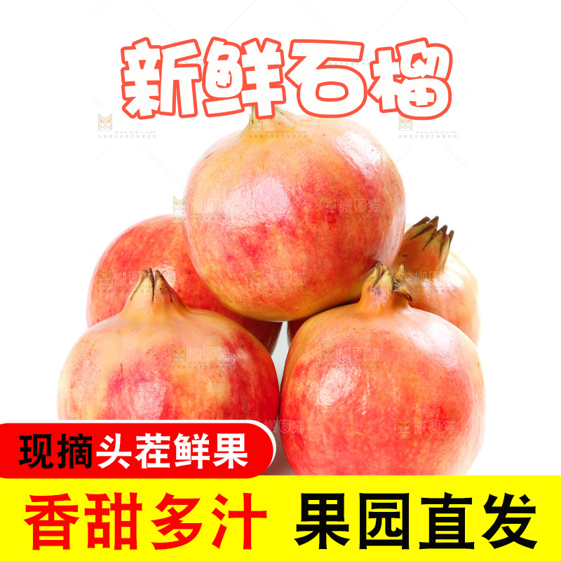 白底上的软籽石榴