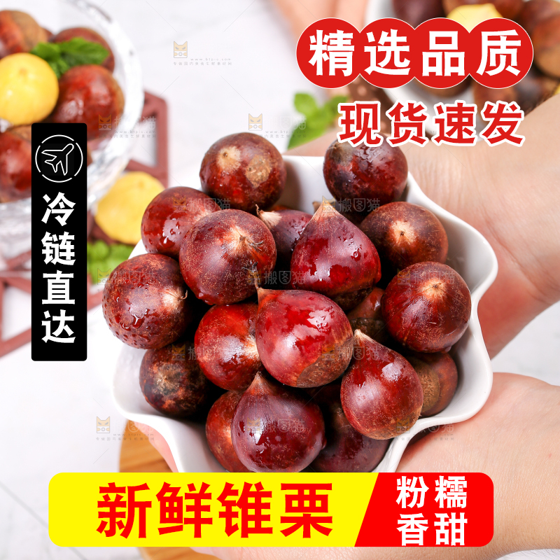手里捧着一碗锥栗