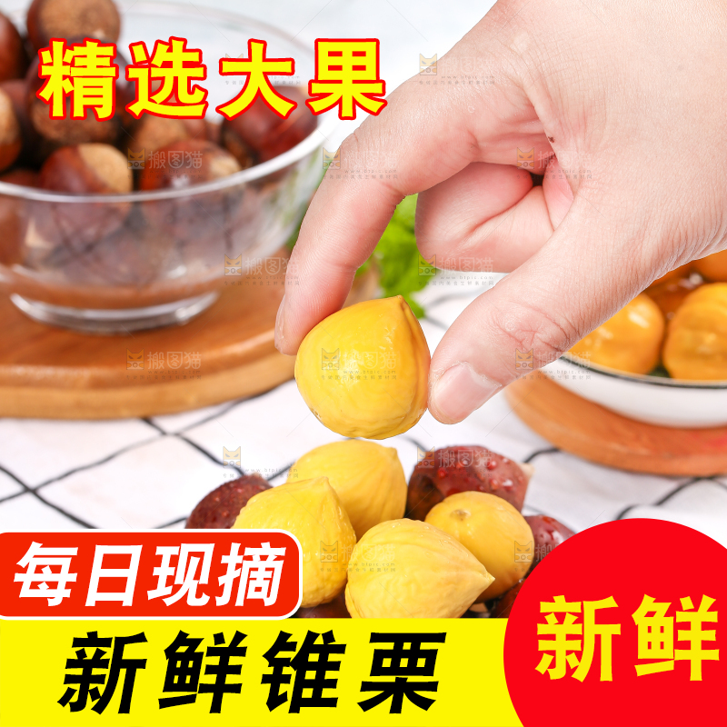 手里拿着锥栗仁