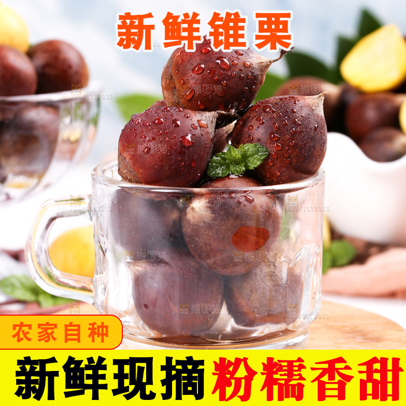 杯子里装着锥栗