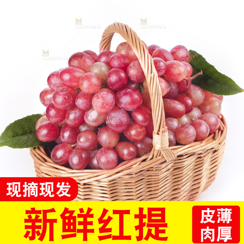 白底上篮子里的红提