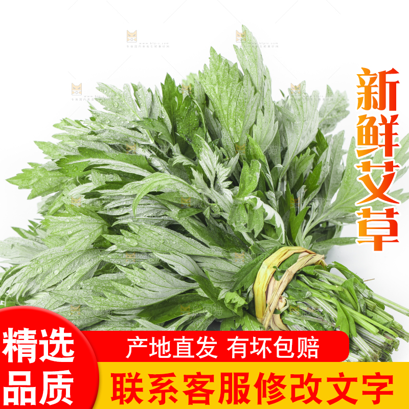 白底上摆放着艾草