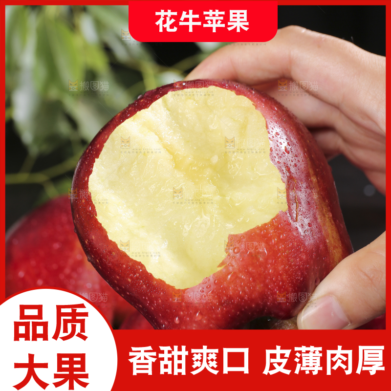 堆放着的花牛苹果