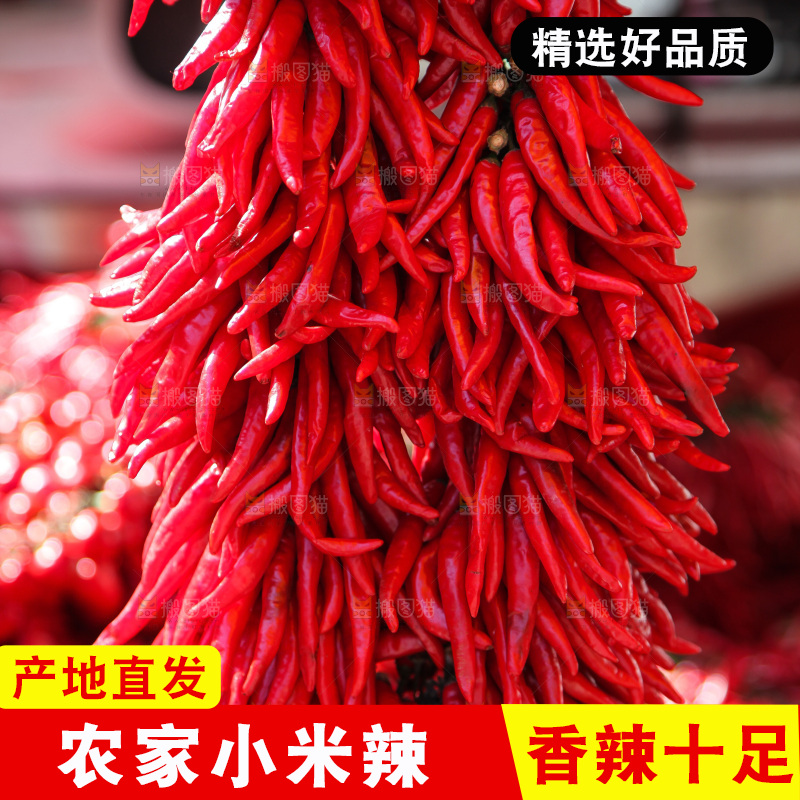 一大串红尖椒