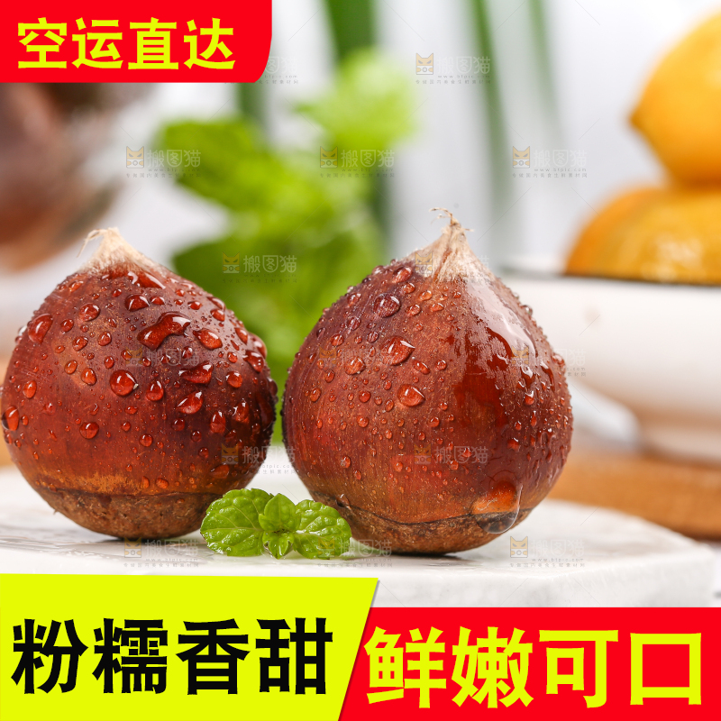 白石垫上的锥栗