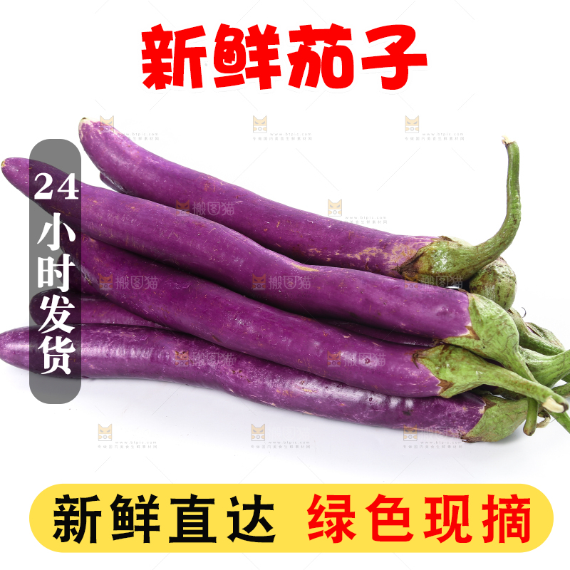 白底上的紫长茄子