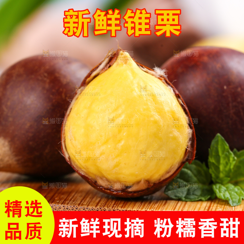 木板上的锥栗