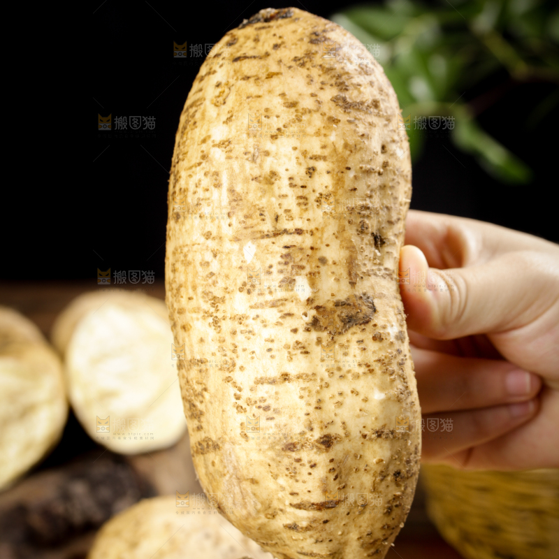 手里拿着甜薯
