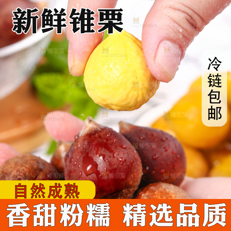 手里拿着建瓯锥栗