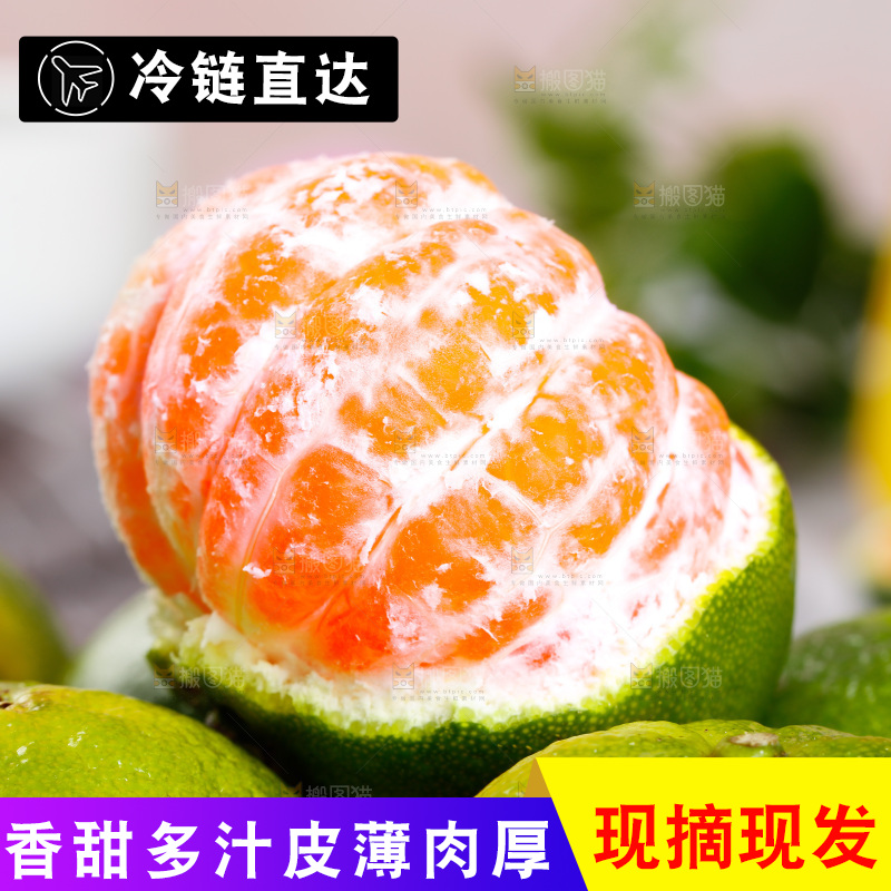 一堆新鲜青皮蜜桔