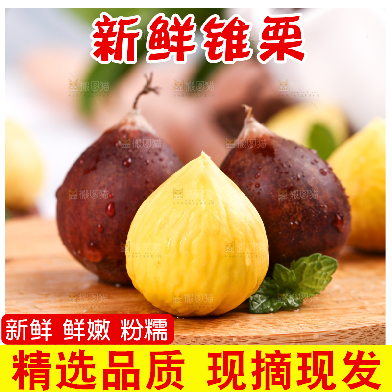 木板上的建瓯锥栗