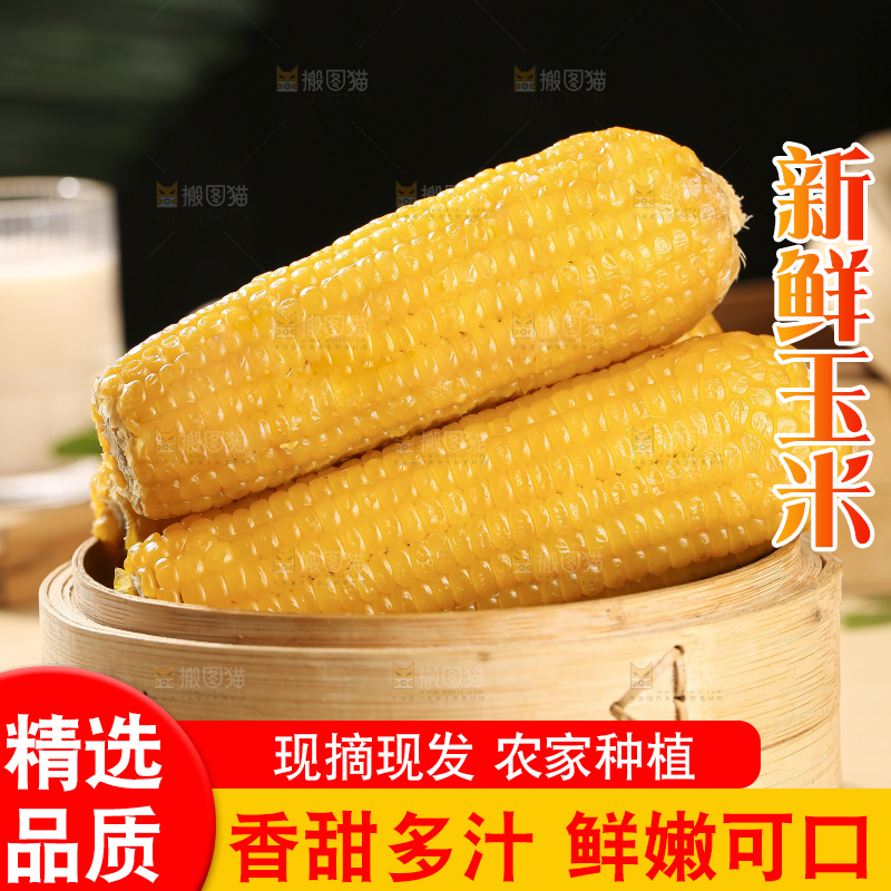 木底上放着黄糯玉米