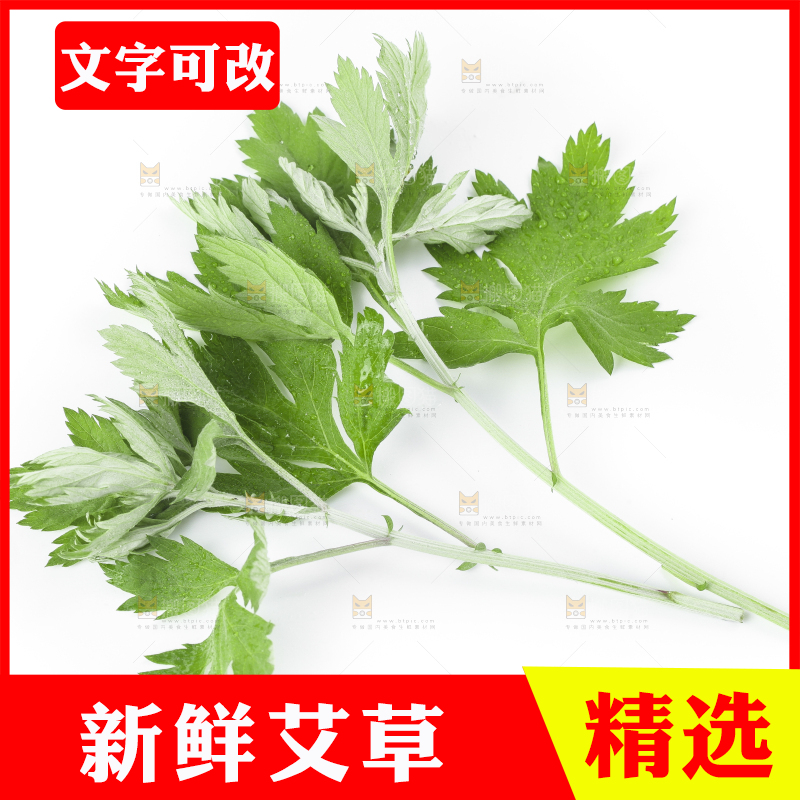 白底上摆放着艾草