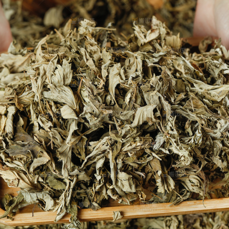 手里捧着艾草叶