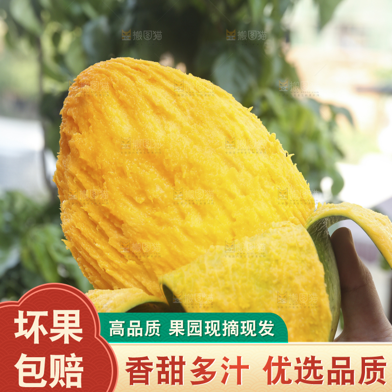 手里拿着青皮凯特芒