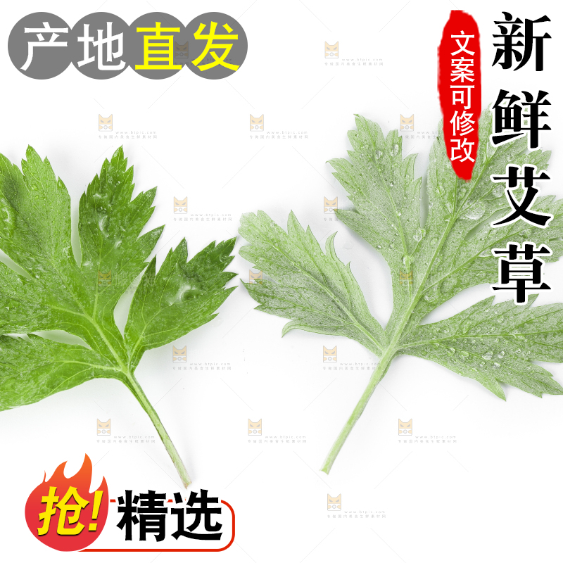 白底上摆放着艾草