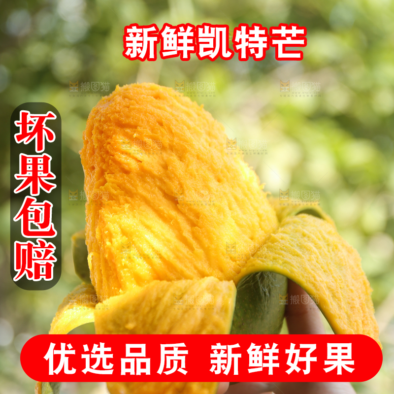 手里拿着青皮凯特芒