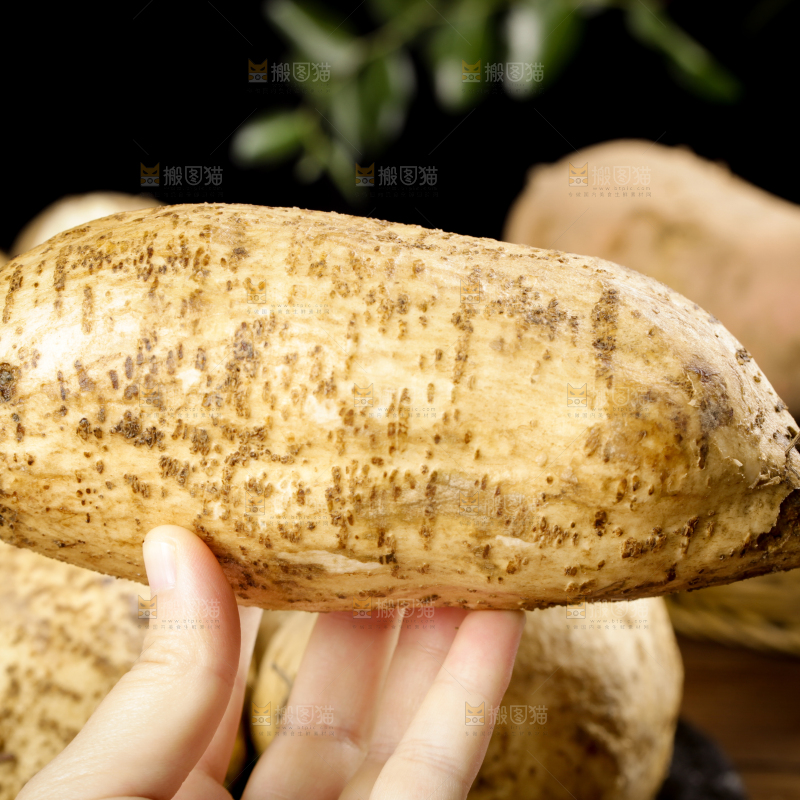 手里拿着甜薯