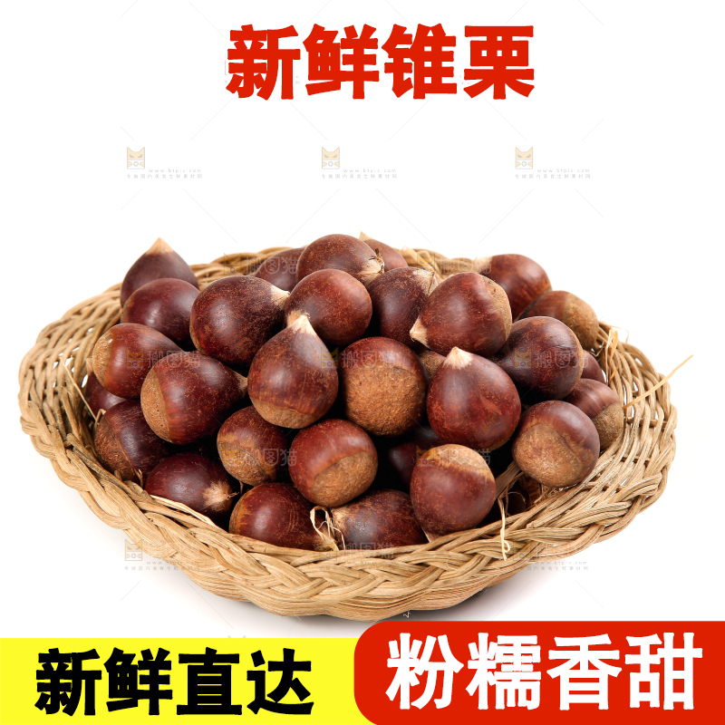 一篮福建锥栗