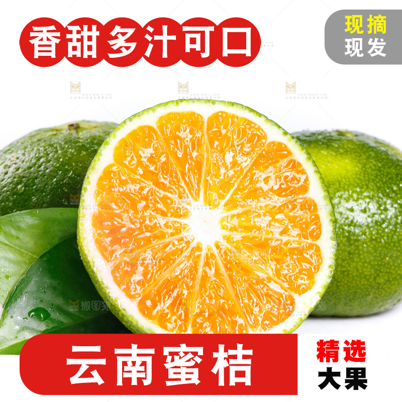 白底上的无籽蜜桔