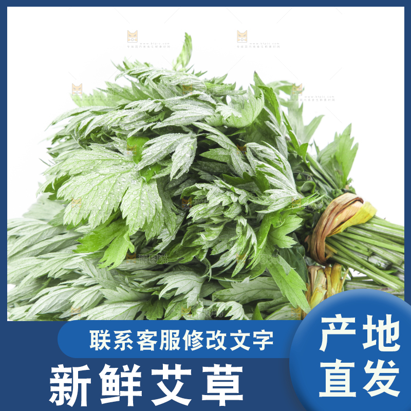 白底上摆放着艾草
