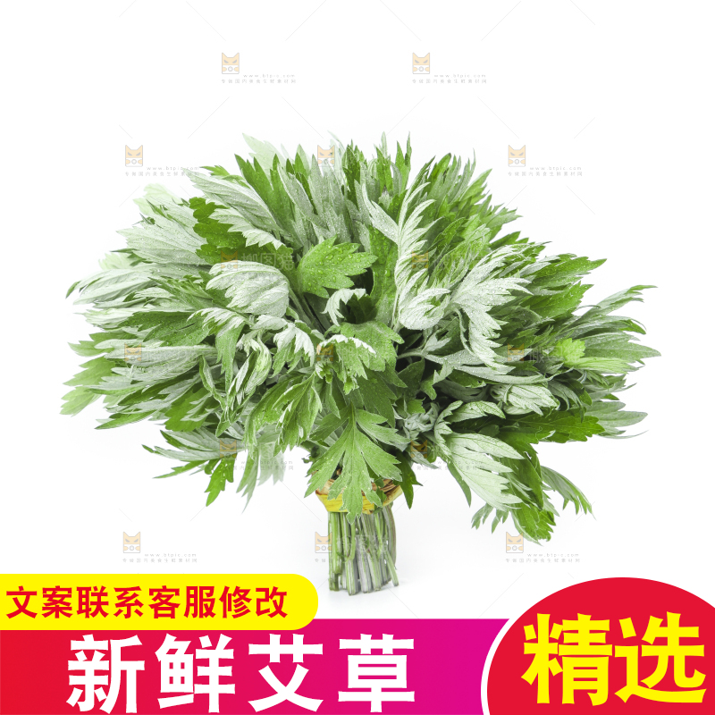 白底上摆放着艾草