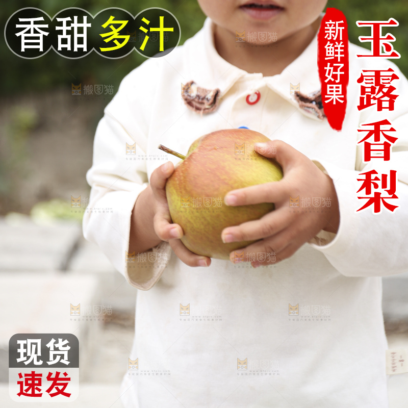 手里拿着玉露香梨