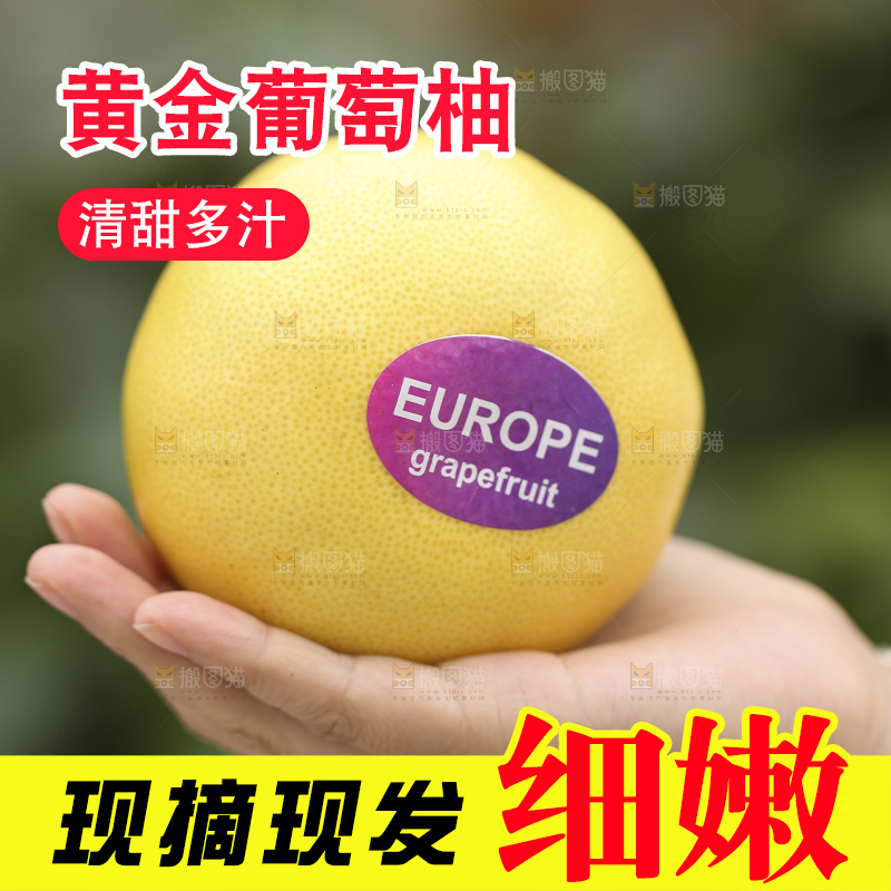 手里拿着黄金葡萄柚