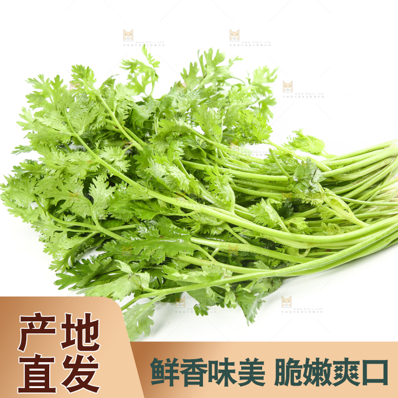 白底上的芹菜