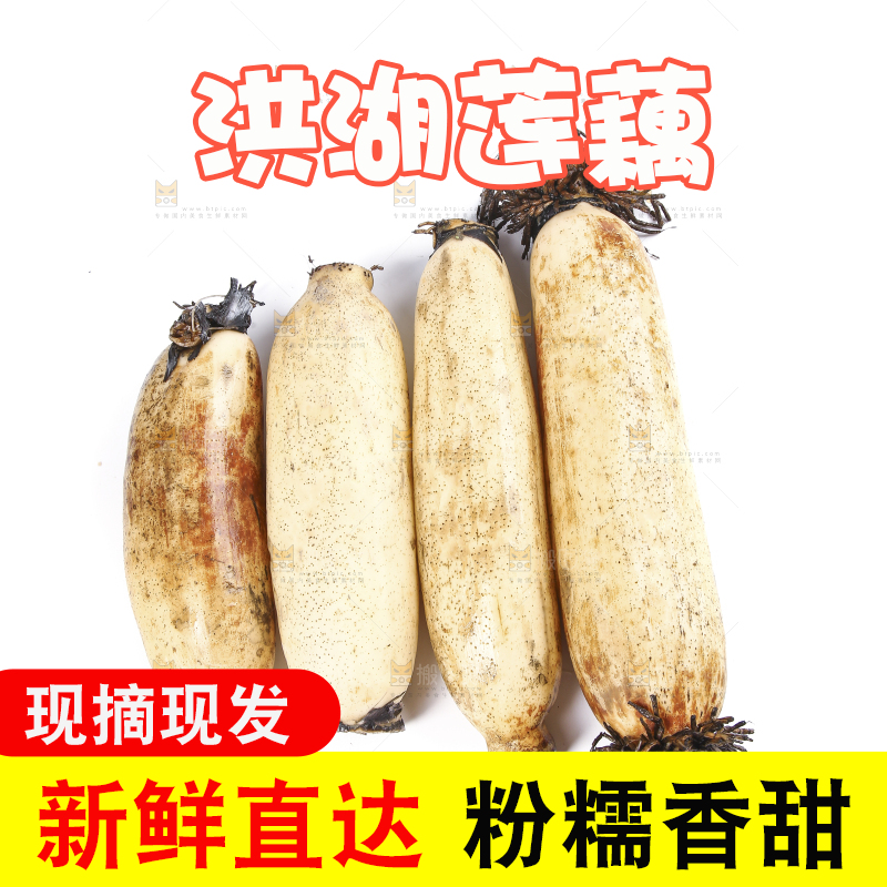 白底上放着莲藕