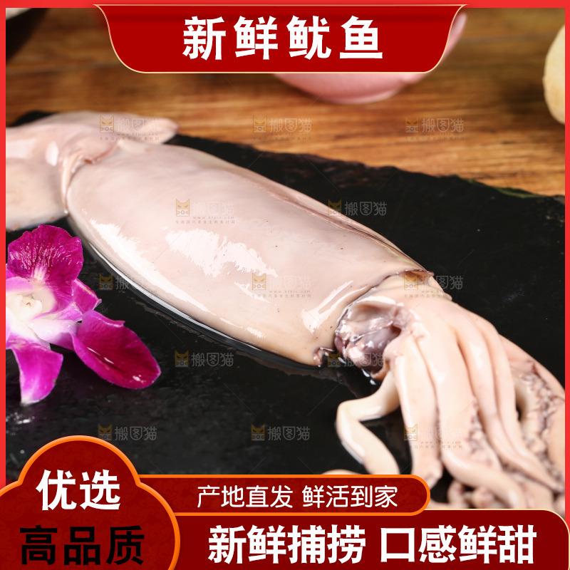 黑底上的鱿鱼